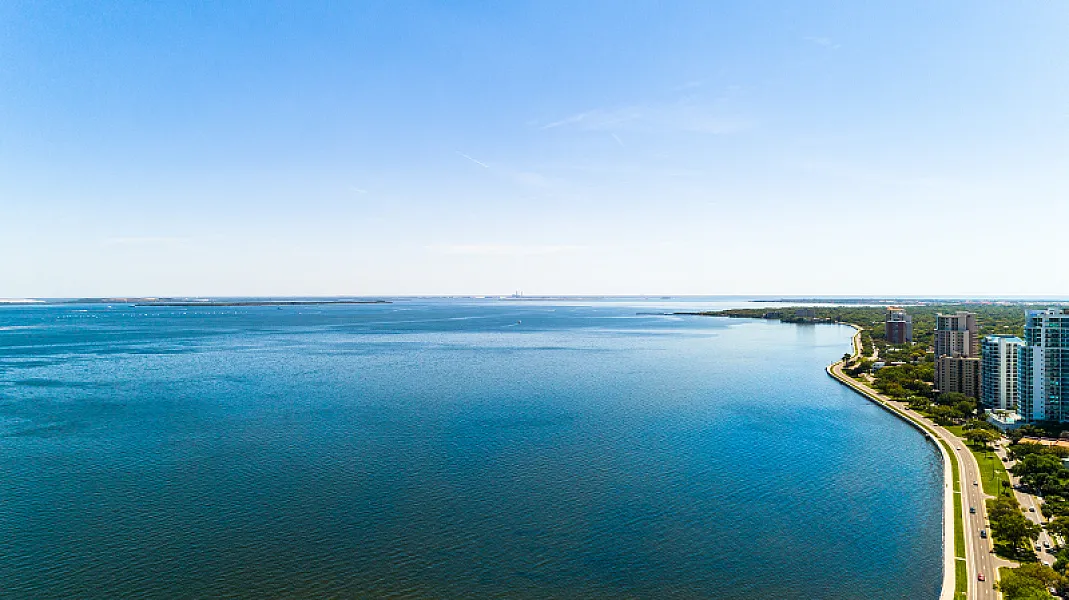 The Ritz-Carlton Residences, Tampa photo 3