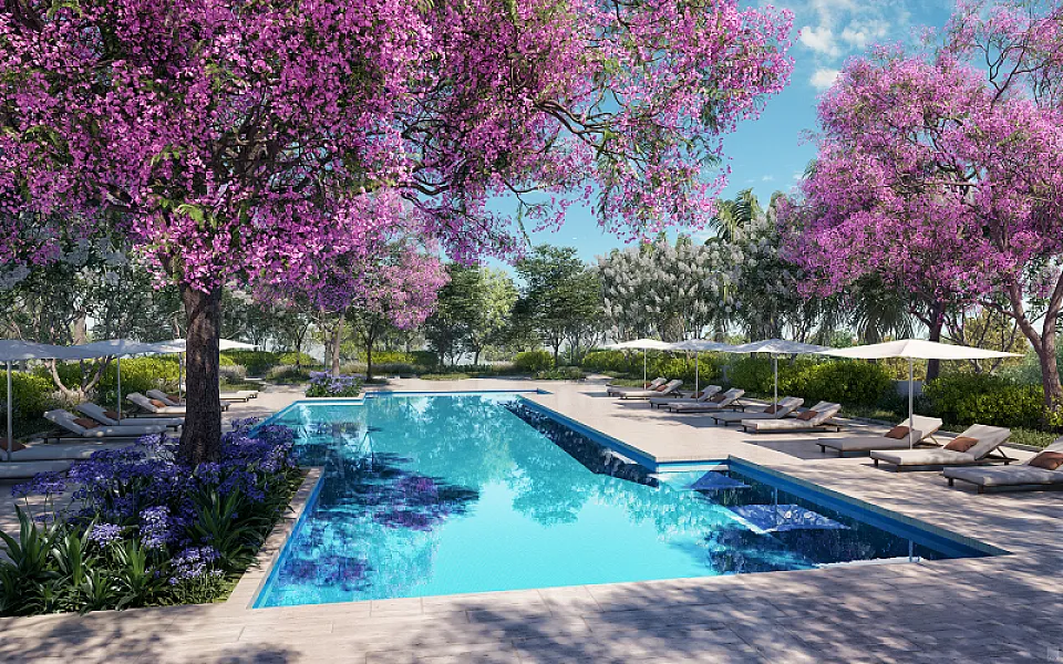 The Ritz-Carlton Residences, Tampa photo 16