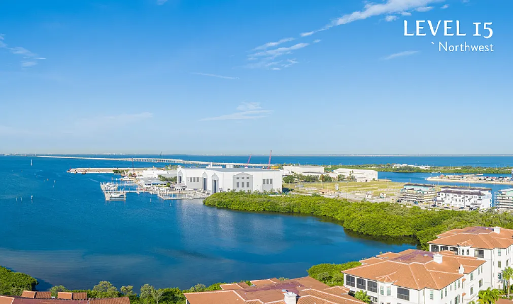 Aqua at Westshore Yacht Club photo 4